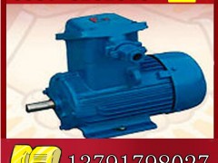 YBK2-200L1-2늙C(j)չr(ji)**