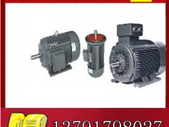 YBK2-100L1-4늙Cչr**