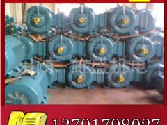 YBK2-315S-4늙C(j)չr(ji)**