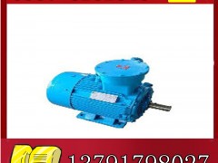 YBK2-315L2-4늙CSֱNչr**