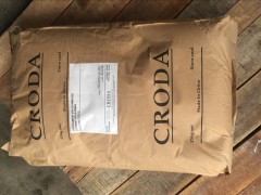 պ̴̴CRODA ߼